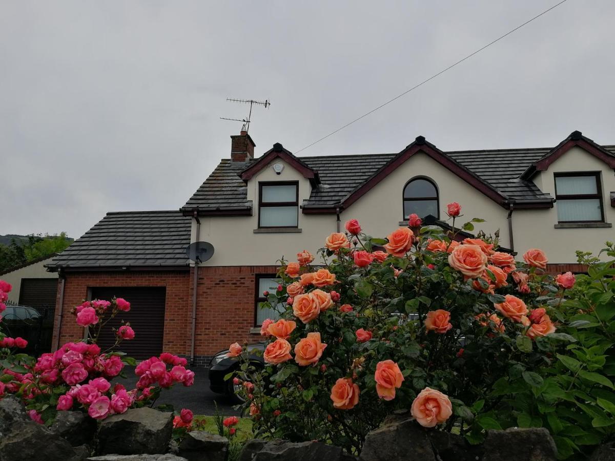 Fox Heaven B&B Carrickfergus Exterior foto